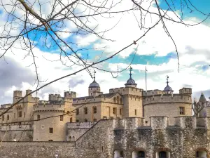 Best of London with Tower of London VIP Access & Guided Tour