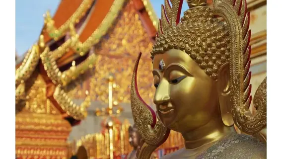 Doi Suthep 1-day tour[Wat Phra That Doi Suthep + Chiang Mai University + Optional Night Safari]