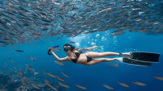 Bohol: Expérience de plongée en scaphandre à Napaling | Transfert aller-retour / Équipement de plongée fourni / Photographie sous-marine