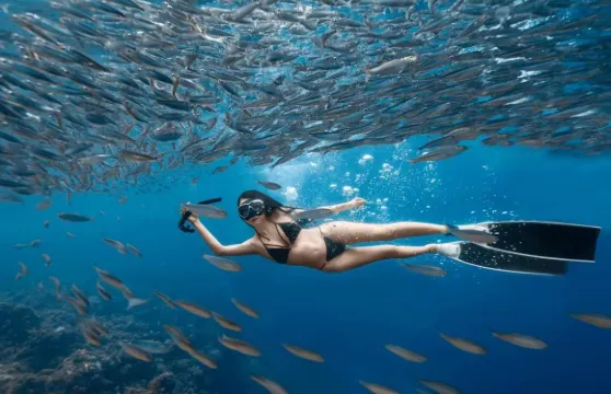 薄荷島：Napaling水肺潛水體驗｜往返接送／提供潛水裝備／水下攝影