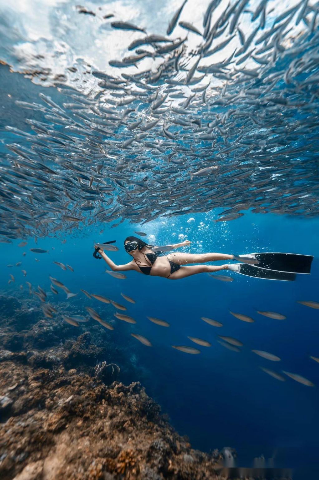 Bohol: Napaling scuba diving experience | Round-trip transfer/Diving equipment provided/Underwater photography