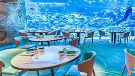 Buffet trưa tại nhà hàng San Hô thuộc khu vui chơi Tàu Vũ Trụ tại khách sạn Tàu Vũ Trụ Trường Long Chu Hải [Yêu cầu xuất trình vé vào cổng khu vui chơi Tàu Vũ Trụ để vào nhà hàng]