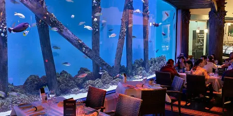 凱恩斯水族館黃昏晚宴