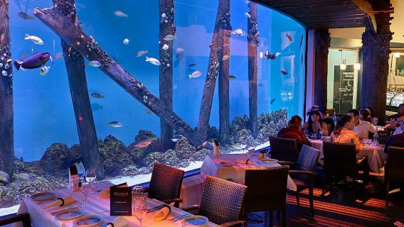 Acquario di Cairns al crepuscolo con cena
