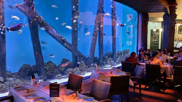 Cairns Aquarium by Twilight with Dinner
