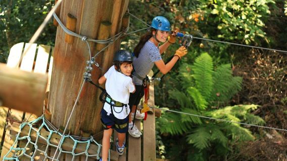 Aventura en las copas de los árboles: Yeodene Park