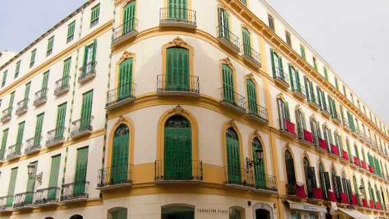 Museo Picasso Málaga y Museo Casa Natal de Picasso: Visita guiada