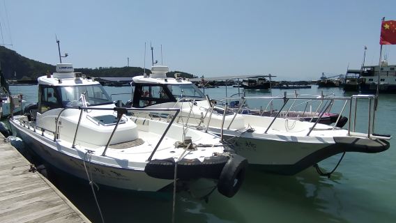 廣東陽江海陵島快艇出海海釣【專業船長教學+免費提供魚竿魚餌+魚獲歸客人所有】