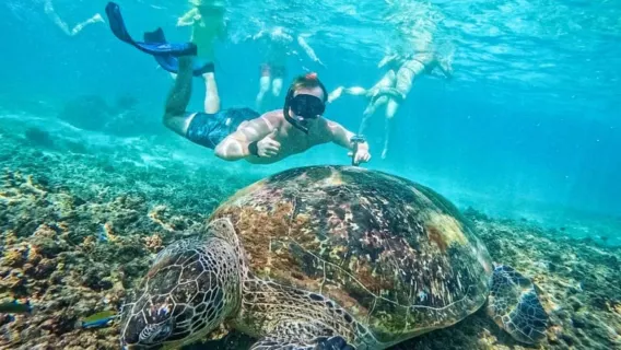 Tour di un giorno a Koh Samui, Ko Tao e Koh Nang Yuan in motoscafo|Paradiso dello snorkeling