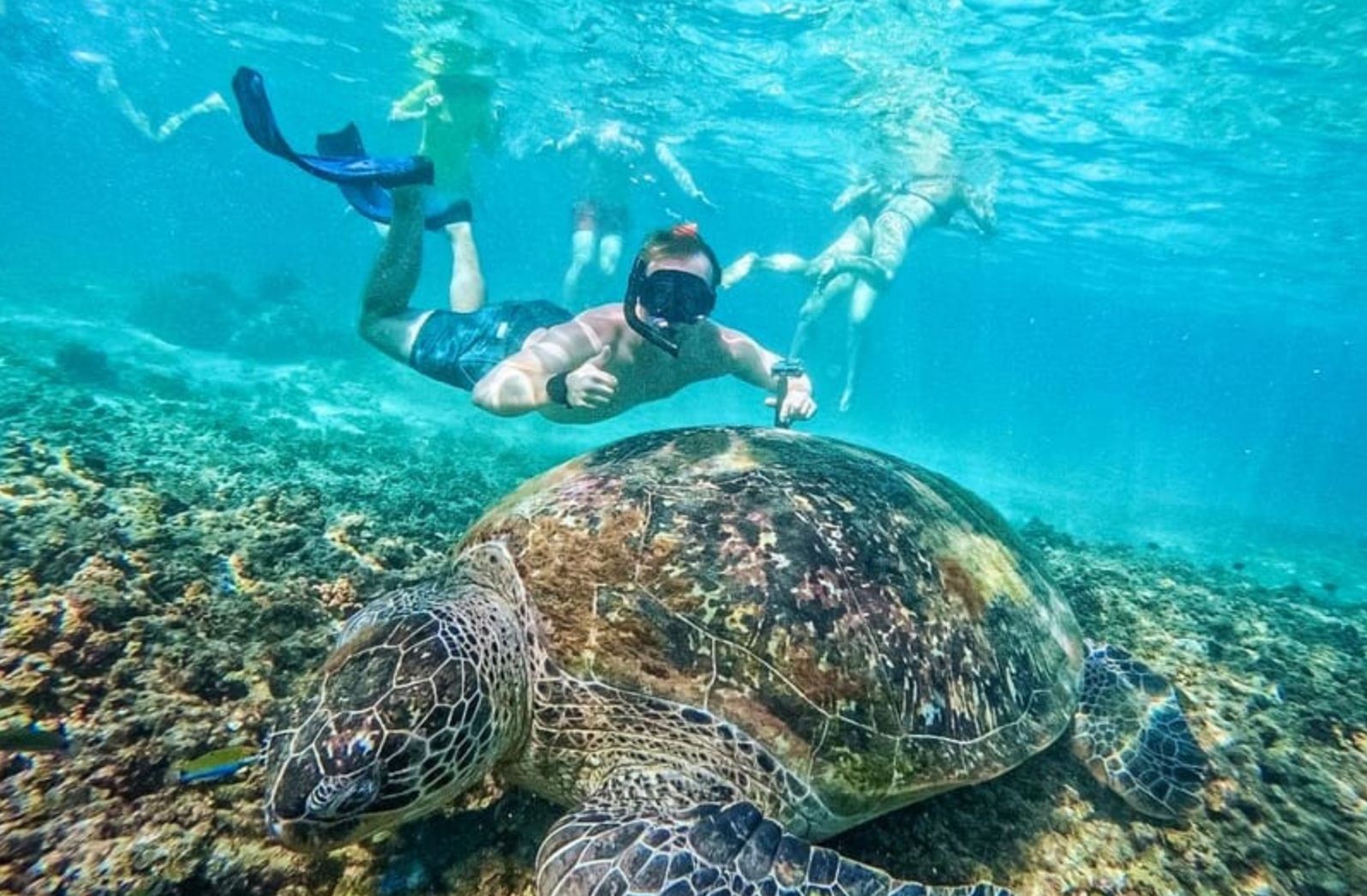 Koh Samui Koh Tao + Nang Yuan Island 1-day tour [speedboating|Top snorkeling destinations