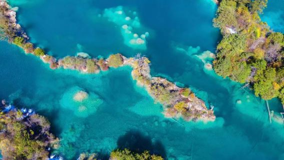 Tour trong ngày Cửu Trại Câu + Chụp ảnh trang phục Tạng tại Trung Tra + Bảo tàng di sản văn hóa phi vật thể Tạng-Khương Cửu Trại + Tiệc lửa trại