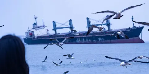 威海/榮成一日遊包車(行程自由,獨立成團,服務時長9小時)