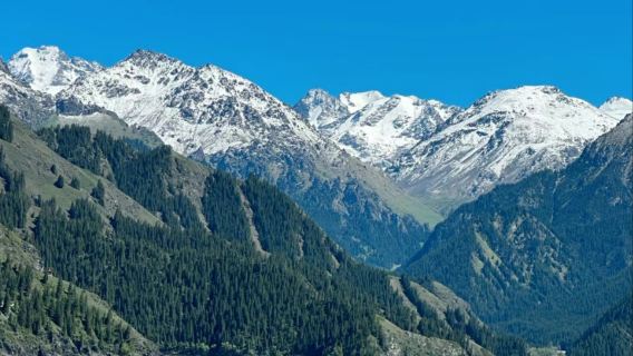 【共乘小團】天山天池風景區共乘一日遊·市區接駁+純玩無套路