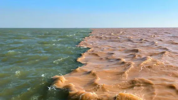 Dongying Yellow River Mouth Eco-Tourism Area + Gudong Sea Day Tour (Chinese and English Services Available)