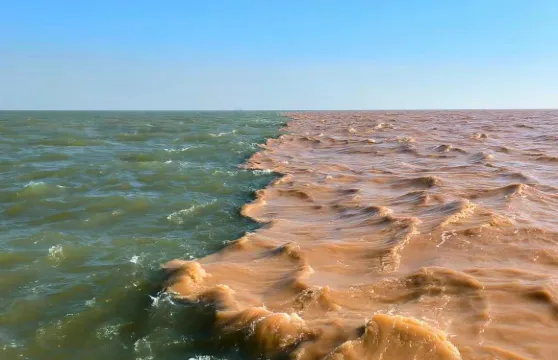 山東東營黃河口生態旅遊區+孤東海一日遊-可中英文服務