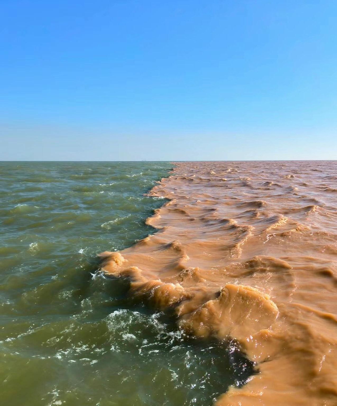 ทัวร์ 1 วัน พื้นที่ท่องเที่ยวระบบนิเวศ Huanghekou + Gudonghai ตงอิ๋ง มณฑลซานตง - บริการภาษาจีนและอังกฤษ