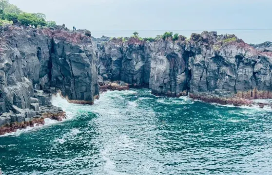 日本東京+伊東+伊豆觀海列車一日遊/行程可調-可訂製多日遊