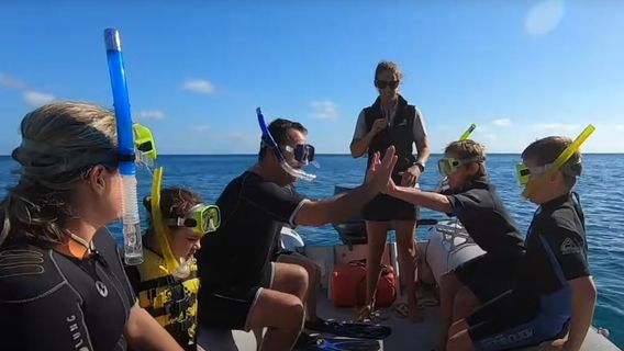 Hamilton IslandTours