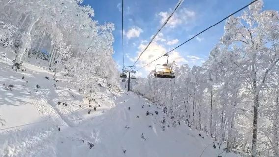 日本北海道喜樂樂滑雪場接駁服務【普通話司機/包車訂製】