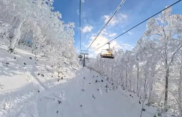 日本北海道喜樂樂滑雪場接駁服務【中文司機/包車定制】