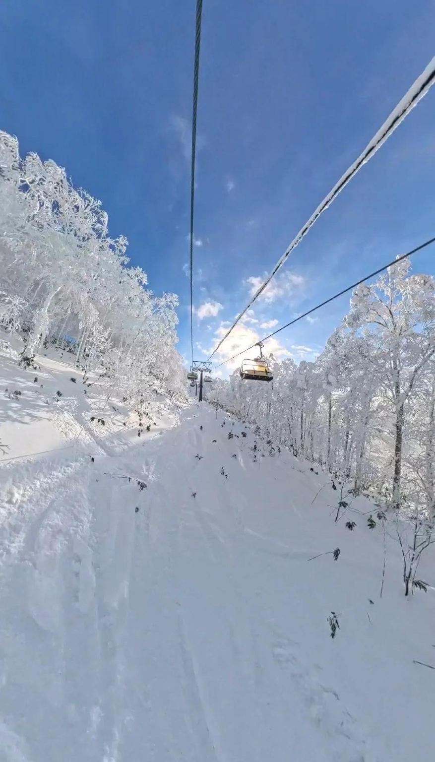 日本北海道喜樂樂滑雪場接駁服務【中文司機/包車定制】