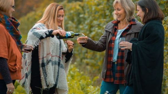 Toronto: Niagara Wineries Tasting Tour & Optional Lunch