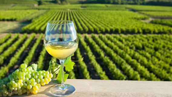 Dari Lawatan: Lawatan Sehari Kilang Wain Lembah Loire dengan Tastings