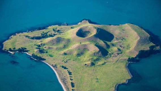 Ab Auckland: Browns Island Motukorea Seekajaktour