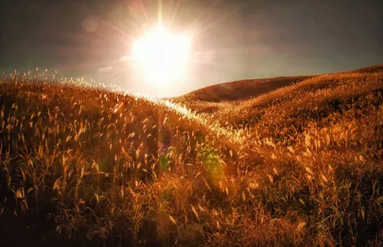 萍鄉武功山風景區門票 + 中庵纜車(來回)門票成人