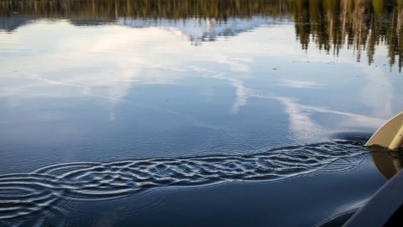 Bend: Moonlight and Starlight Canoe Tour