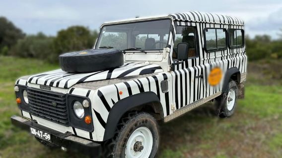 Arrábida - Sesimbra: Nature Jeep Tour