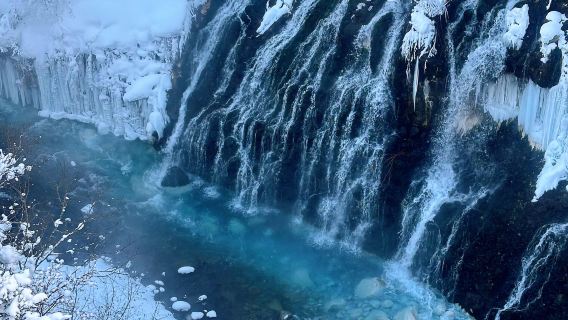日本北海道旭川美瑛｜白鬚瀑布｜孤獨聖誕樹｜札幌來回｜中文專車