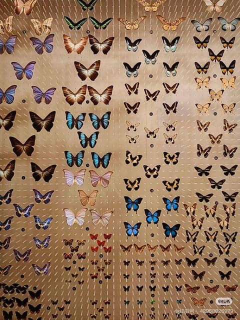 Shanghai: Natural History Museum Tickets Purchase service