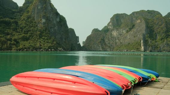 Halong Bay: Day Cruise from Halong Port Shore Excursion