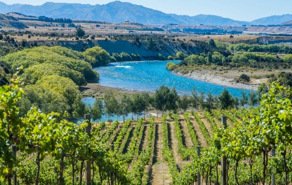 Wanaka: E-Bike Ride, Wine Tour, and Lunch Combo