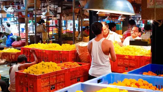 Local Transport & Dabbawallah Tour