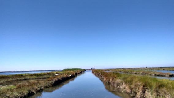 Industrie- oder Natur-Bootstour|Schnellboot