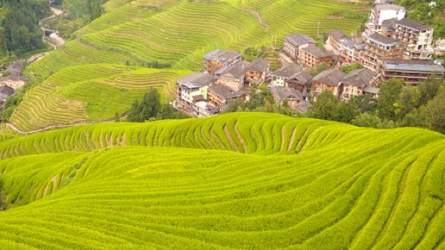 桂林龍脊梯田一日遊【金坑+平安雙寨團,私家團包車出遊】