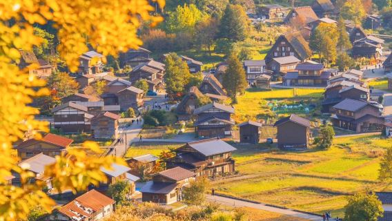 1-day tour from Nagoya | World Heritage visit to Hida Takayama & Shirakawa-go Gassho Village
