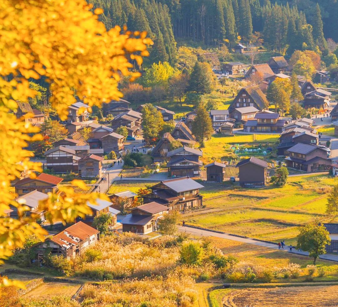 [Limited Time Offer] Day Tour from Nagoya | Hida Takayama & Shirakawa-go Gassho Village World Heritage Site
