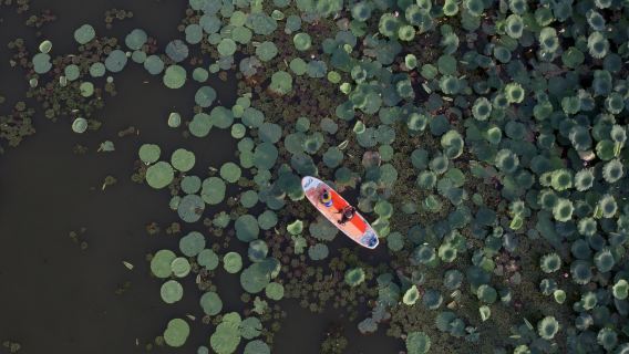 Kayak al atardecer en el jardín de lotos del lago HouGuan de Wuhan con un fotógrafo para sesión de viaje