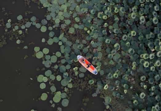Sunset Kayaking in Wuhan HouGuan Lake lotus garden with a photographer for travel-shoot