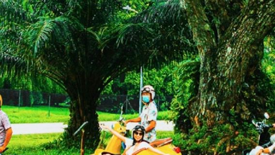 Singapur: Recorrido patrimonial en sidecar