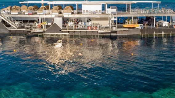 Great Barrier Reef: 2-Day Reefsleep Pontoon Tour from Airlie + Meals