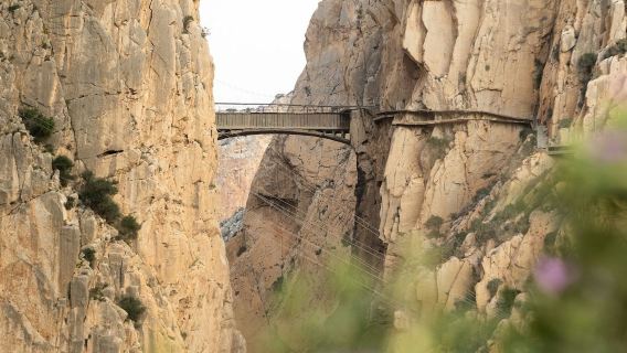 Caminito del Rey : Visite guidée en français + Transfert aller simple en navette