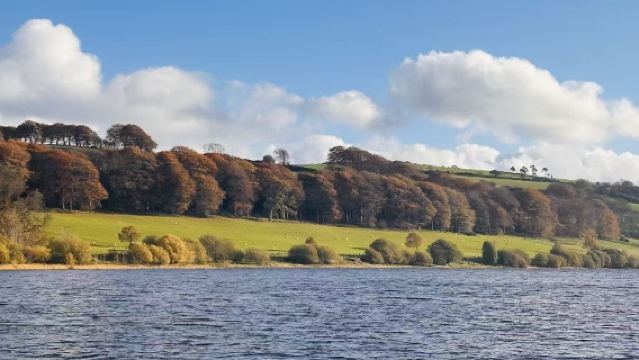 Lawatan sehari ke Hawes + Pantai Malahide di Dublin, Ireland