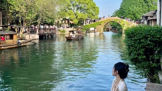 tour di un giorno con noleggio con conducente esclusivo a Hangzhou + antica città di Wuzhen a Jiaxing + antica città di Nanxun in Cina