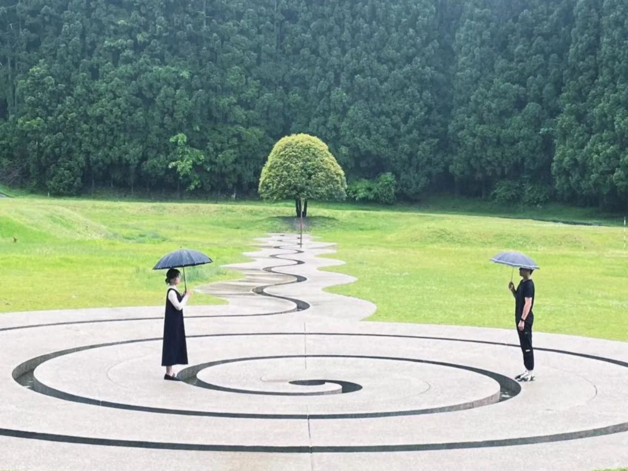 Partenza da Osaka: tour di un giorno al Tempio Hasedera, al Parco Artistico Murou Yamagami no Mori e all'Altopiano di Sono