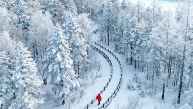 【2-6名様】長白山仙峰雪嶺/ラオリック湖 純粋観光ワンデーツアー