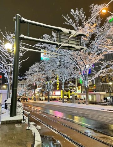 日本熊本+阿蘇山+草千里一日遊/行程可調-可訂製